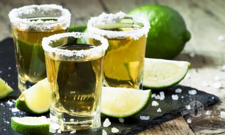 Cách uống rượu Tequila