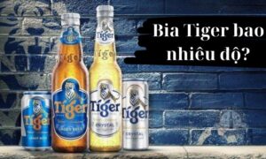 Bia Tiger bao nhiêu độ?