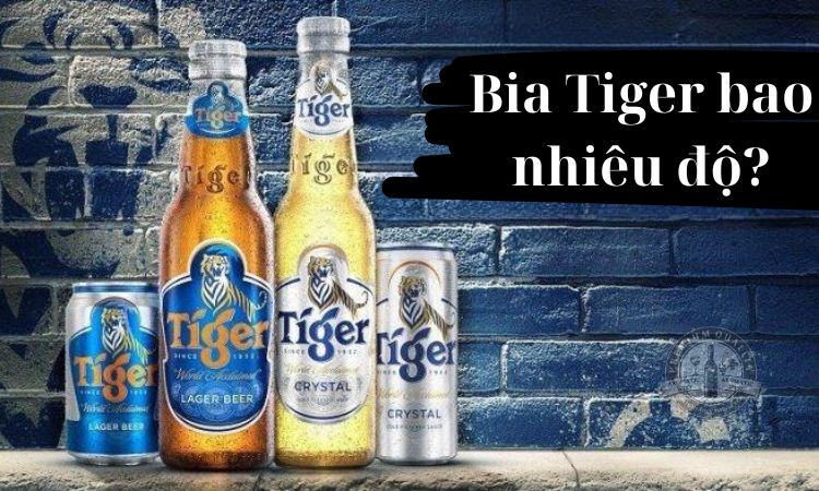 Bia Tiger bao nhiêu độ? 