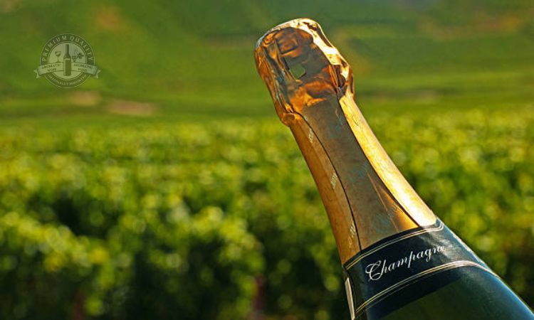 Văn hóa Champagne