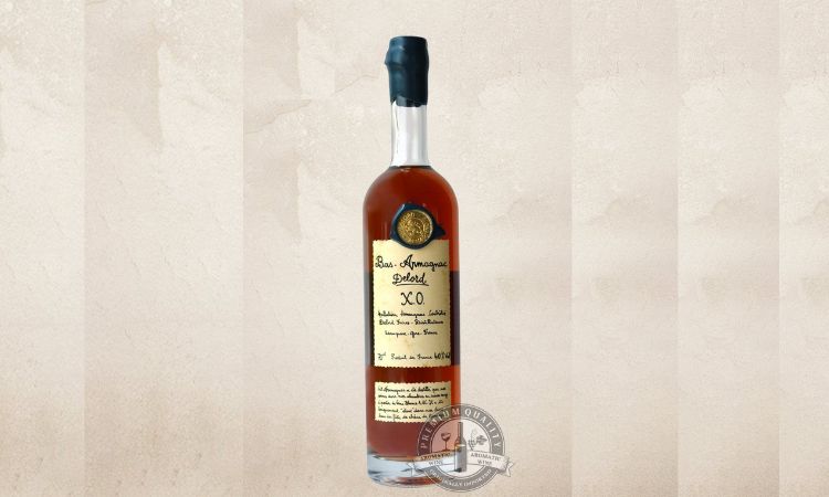 Rượu Brandy XO Delord Bottle